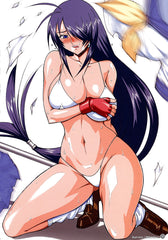 Official Artbook illustration visual Ikki tousen Dragon destiny