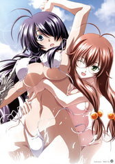 Official Artbook illustration visual Ikki tousen Dragon destiny