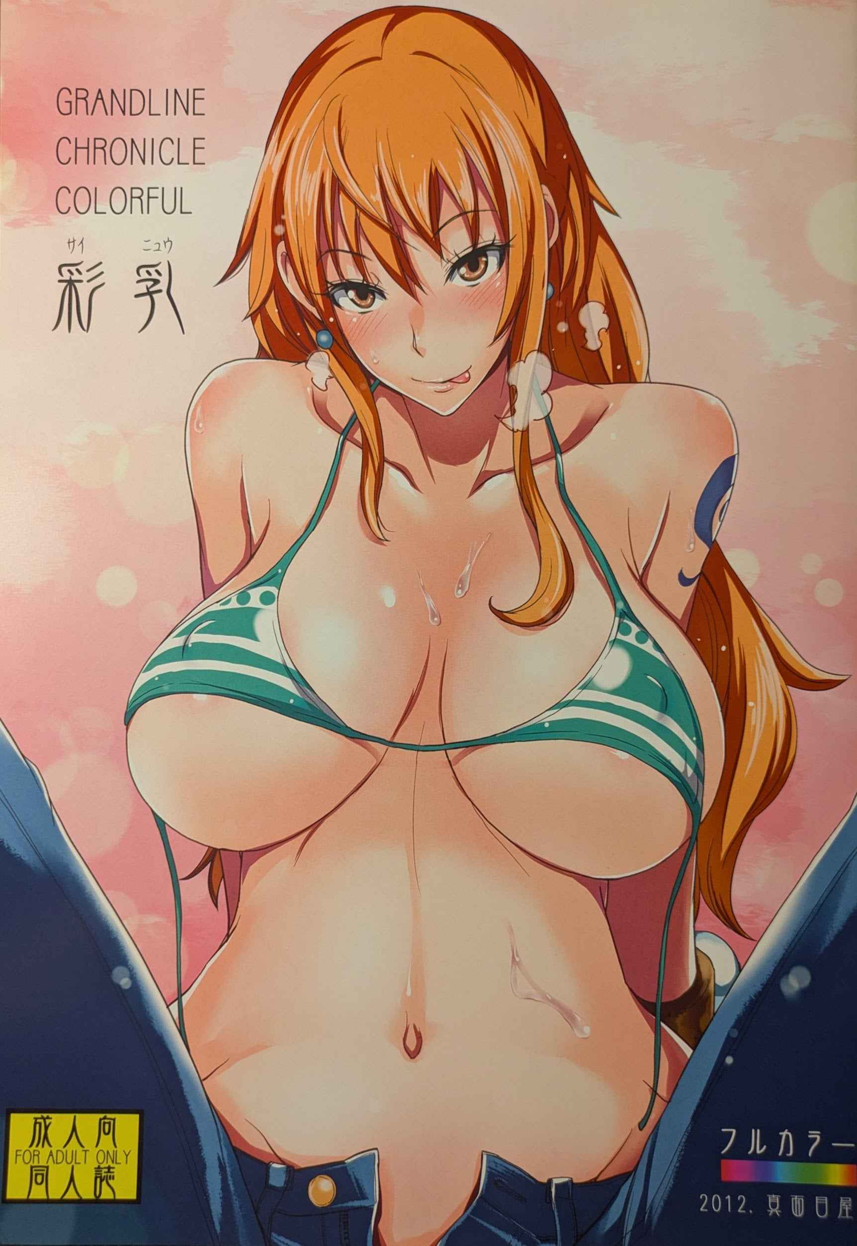 Doujinshi One Piece Grandline Chronicle Colorful Nami