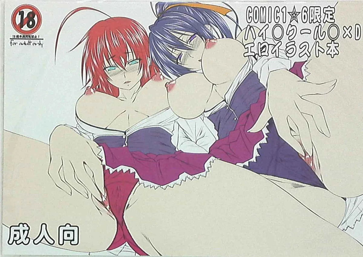 Illustration book Doujinshi High School DxD
