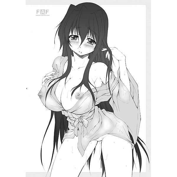 Doujinshi / Artbook High School DxD FAF: C84