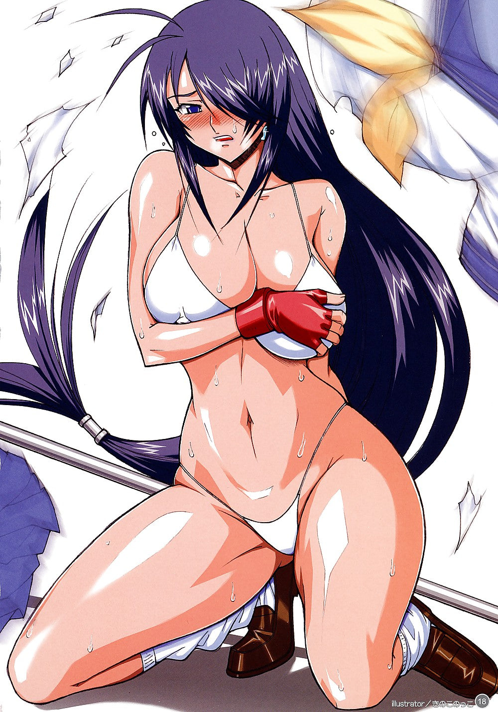 Official Artbook illustration visual Ikki tousen Dragon destiny