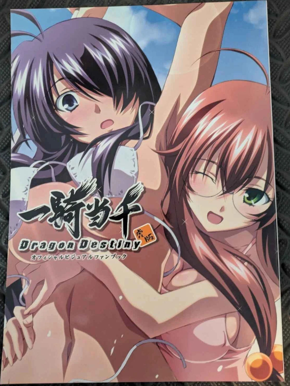 Official Artbook illustration visual Ikki tousen Dragon destiny