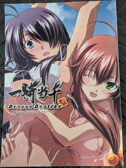 Official Artbook illustration visual Ikki tousen Dragon destiny