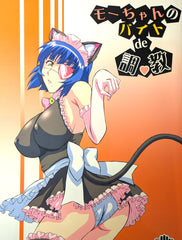 Doujinshi Ikki Tousen Dragon Destiny Battle Vixens