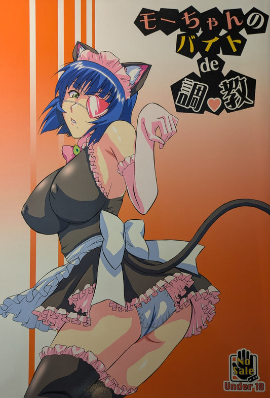 Doujinshi Ikki Tousen Dragon Destiny Battle Vixens
