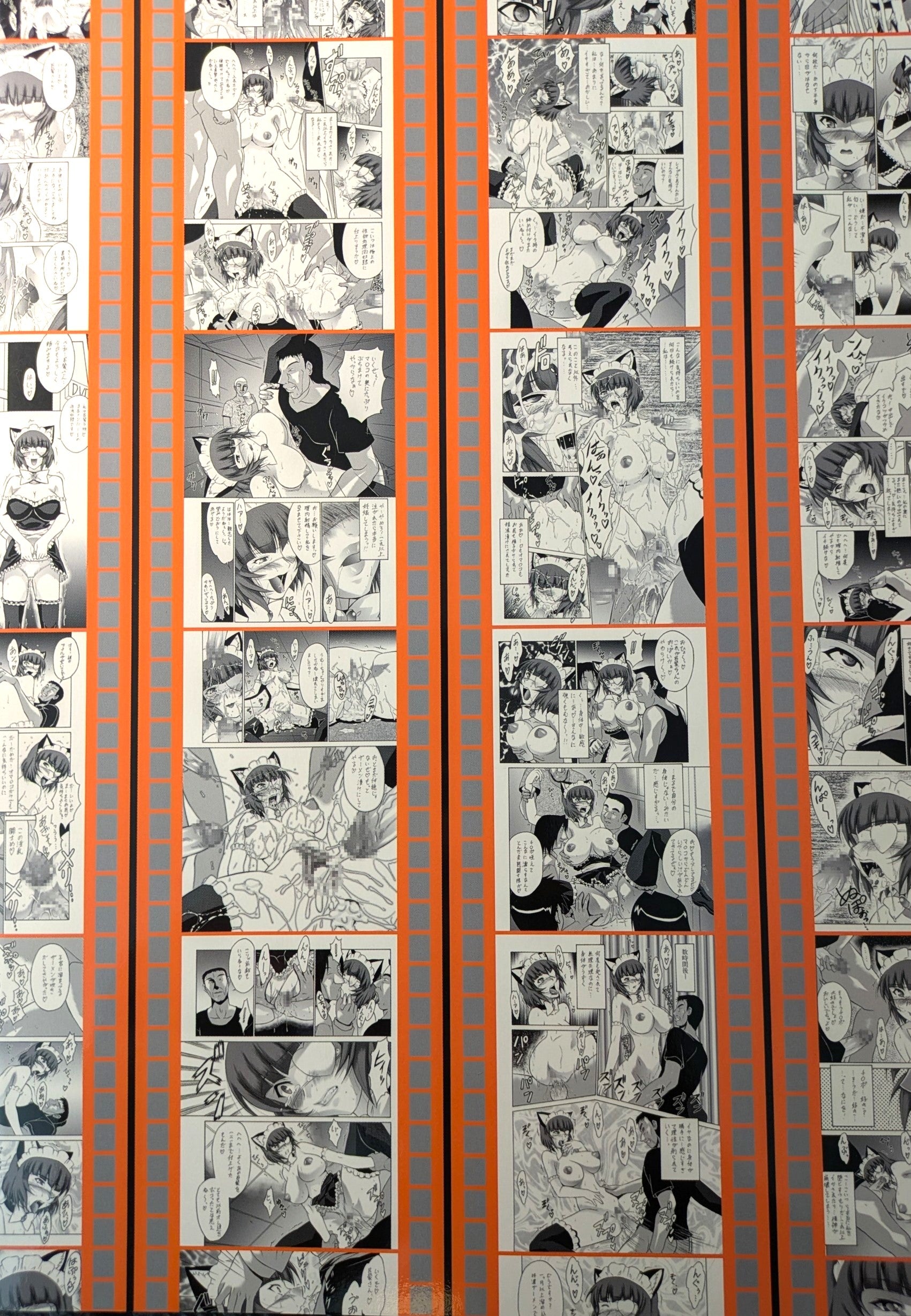 Doujinshi Ikki Tousen Dragon Destiny Battle Vixens