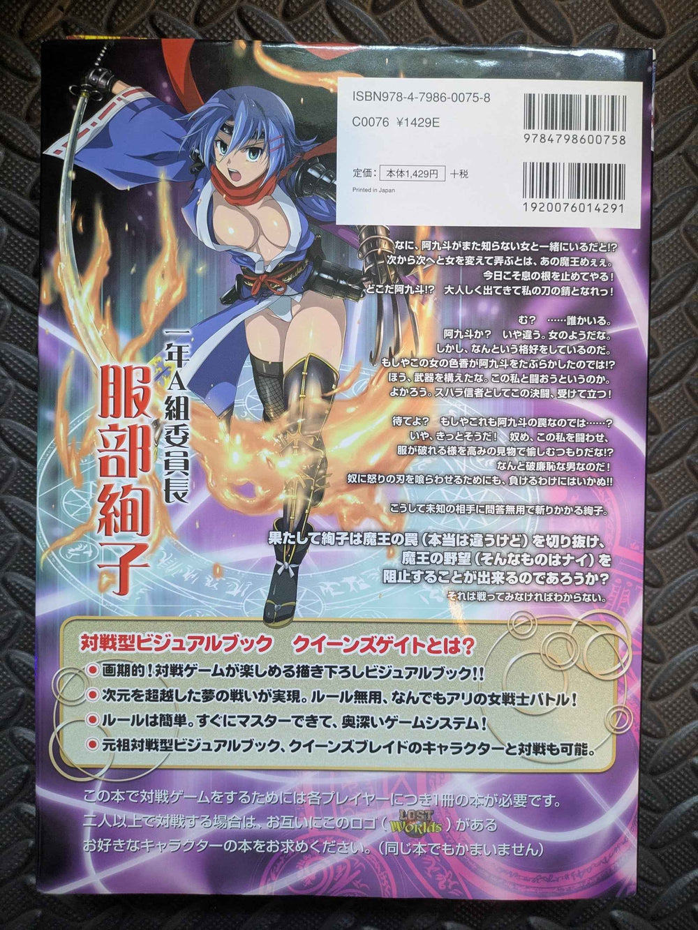 Artbook Junko Hattori Queen's Blade Visual Game Book Queen's Gate