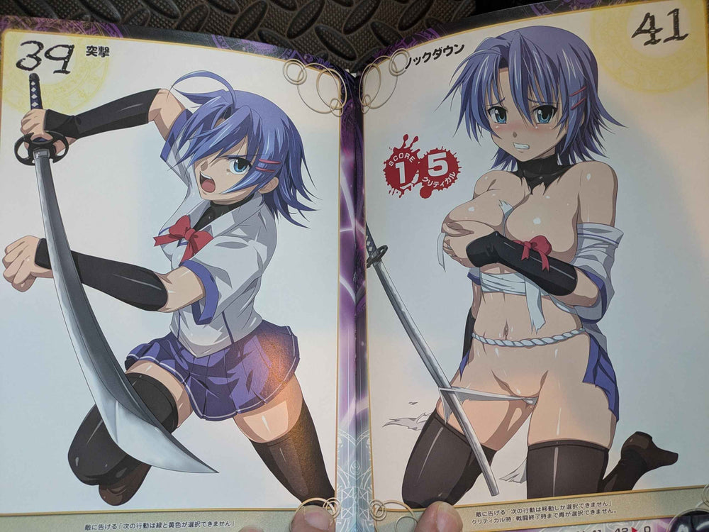 Artbook Junko Hattori Queen's Blade Visual Game Book Queen's Gate