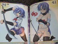 Artbook Junko Hattori Queen's Blade Visual Game Book Queen's Gate