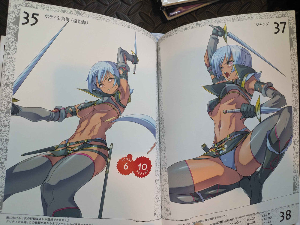 Artbook Queen's Blade Fang assassin Irma visual Gamebook