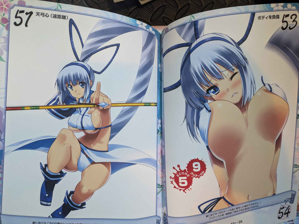 Queen's Gate Holy Archer Mina Majikina Visual Game Book Artbook