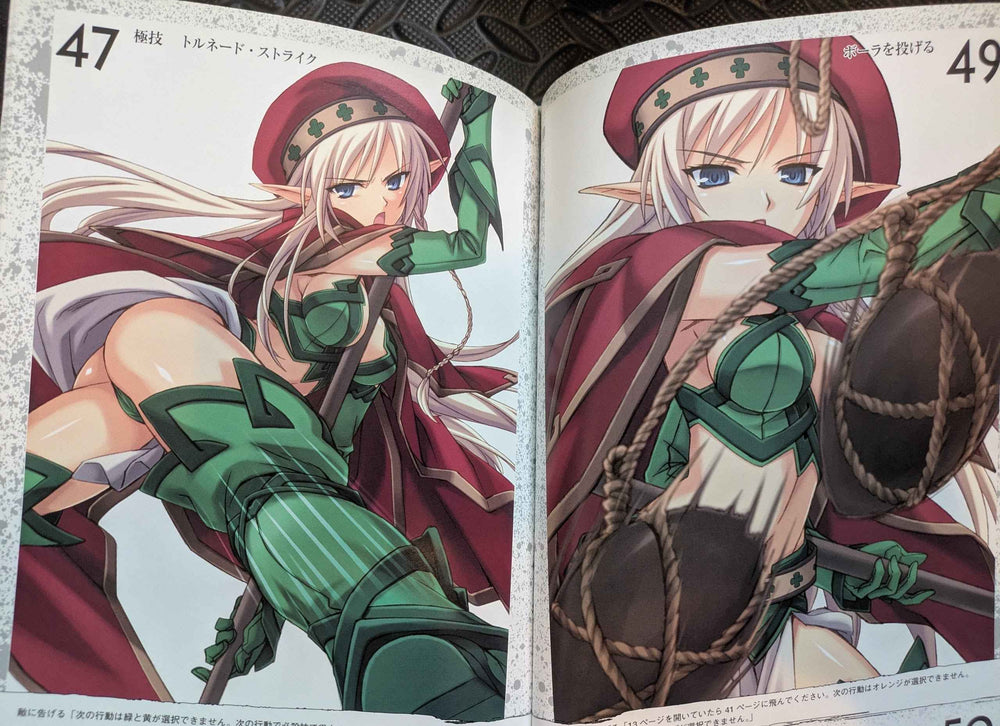 Artbook Arein Queen's Blade Visual Game Book Queen's Gate