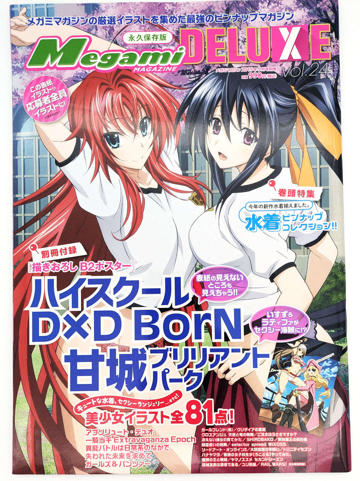 Mint MEGAMI MAGAZINE DELUXE ANIME ART BOOK Vol.24 High School DxD