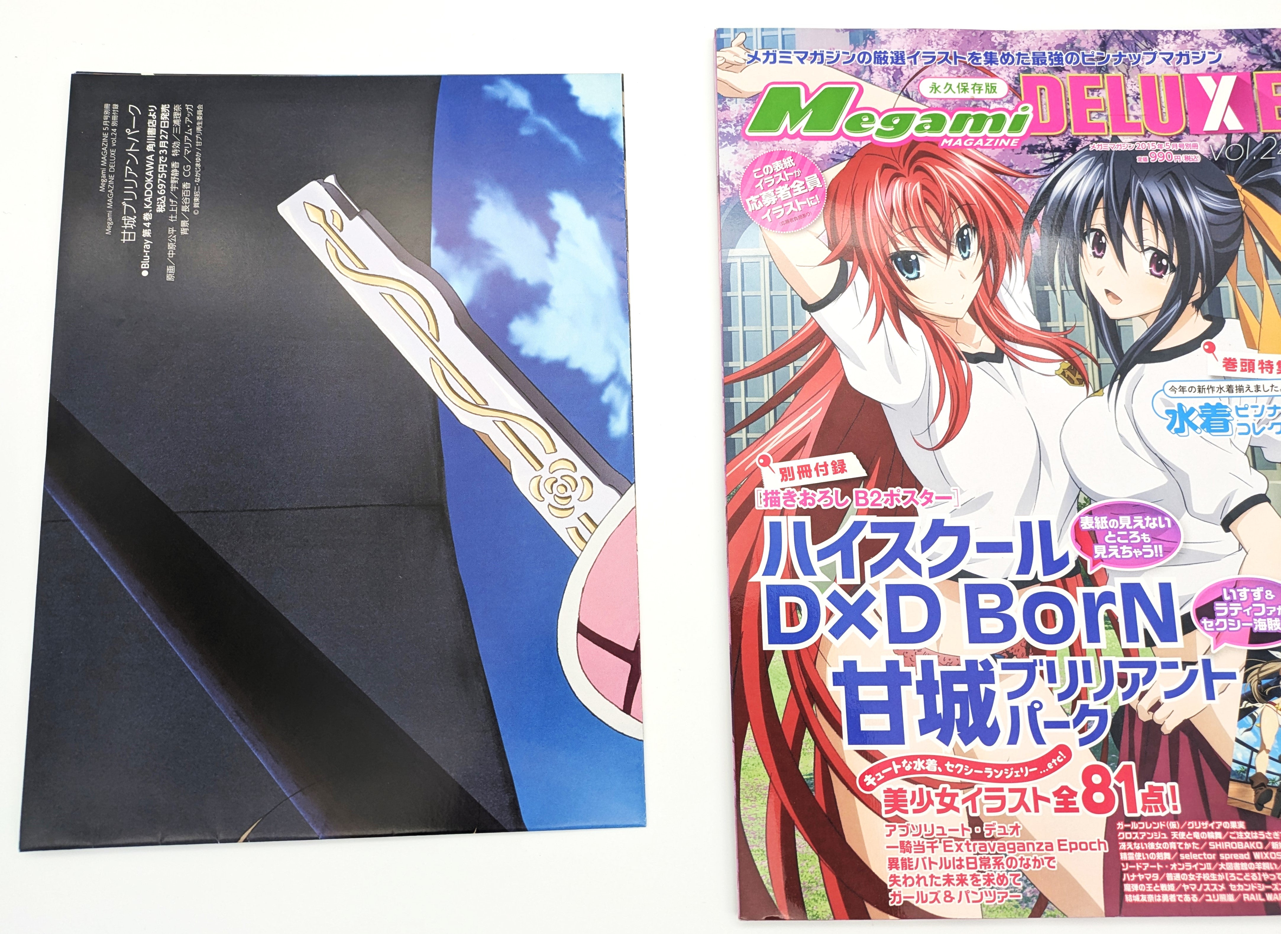 Mint MEGAMI MAGAZINE DELUXE ANIME ART BOOK Vol.24 High School DxD