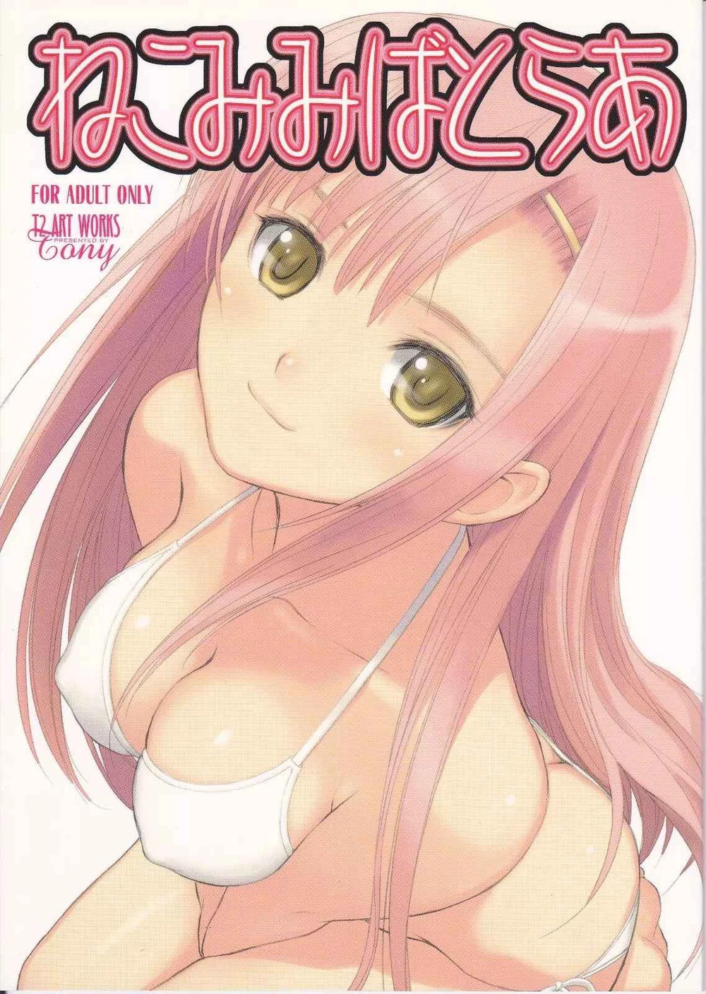 📘 Illustrations Collection Art Book by Tony – T2 Art Works