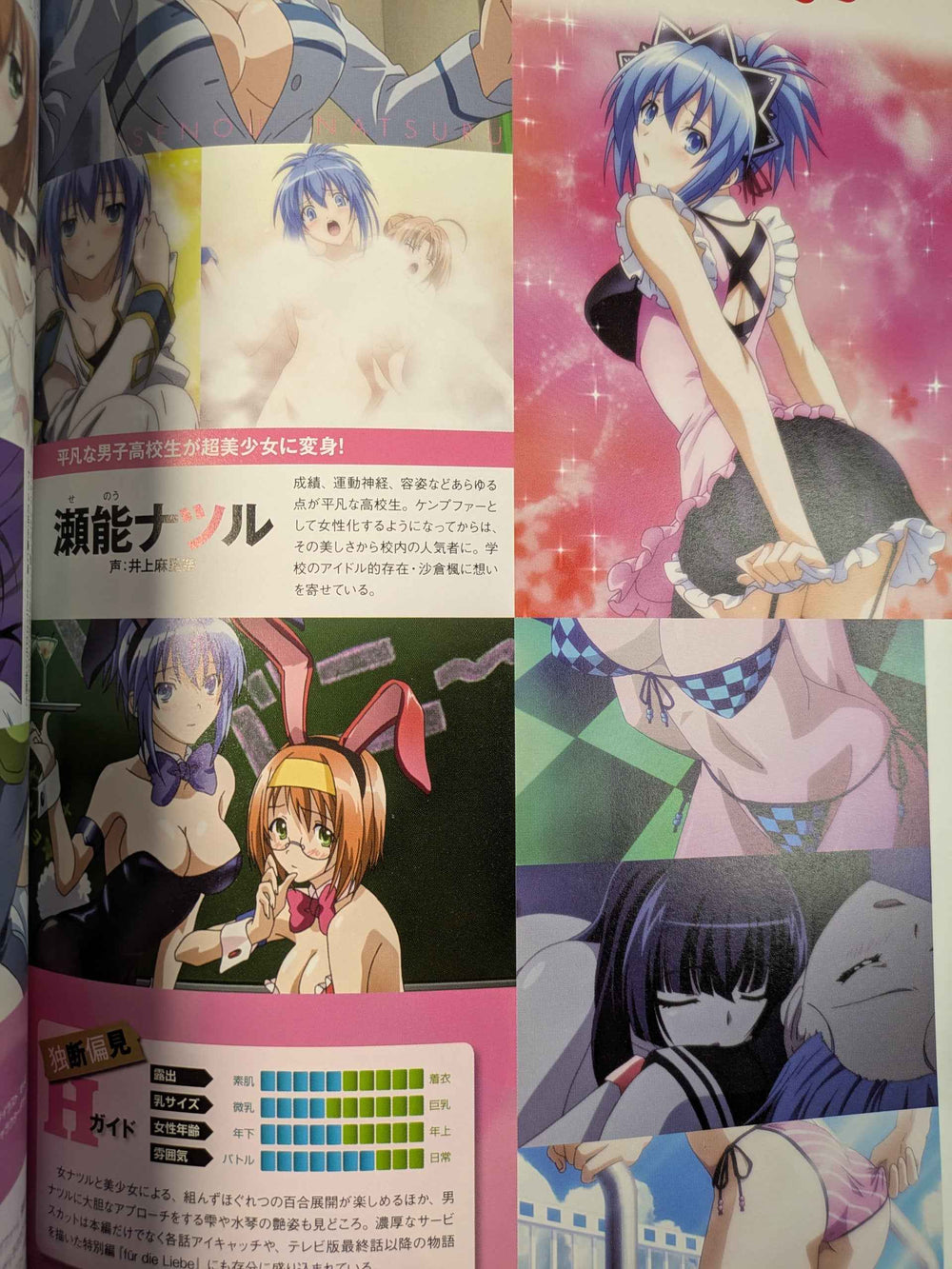 Megami Rx Collection 1 Gakken Mook