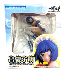 Figure Ikki Tousen 1/7 Ryomou Shimei DD Edition DVD Back Jacket
